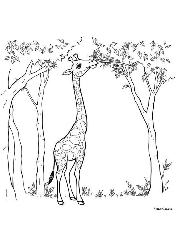 Gratis Printbare Giraffe Kleurplaten