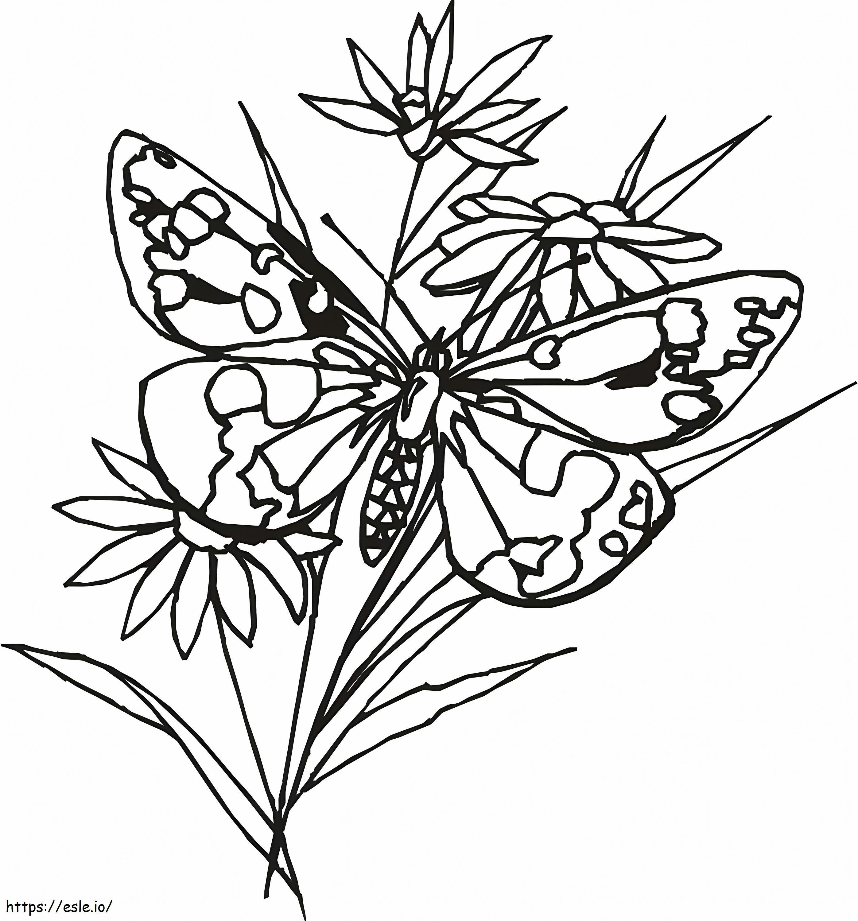 Coloriage Papillon 1 1 954X1024 à imprimer dessin