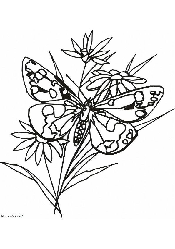 Schmetterling 1 1 954X1024 ausmalbilder