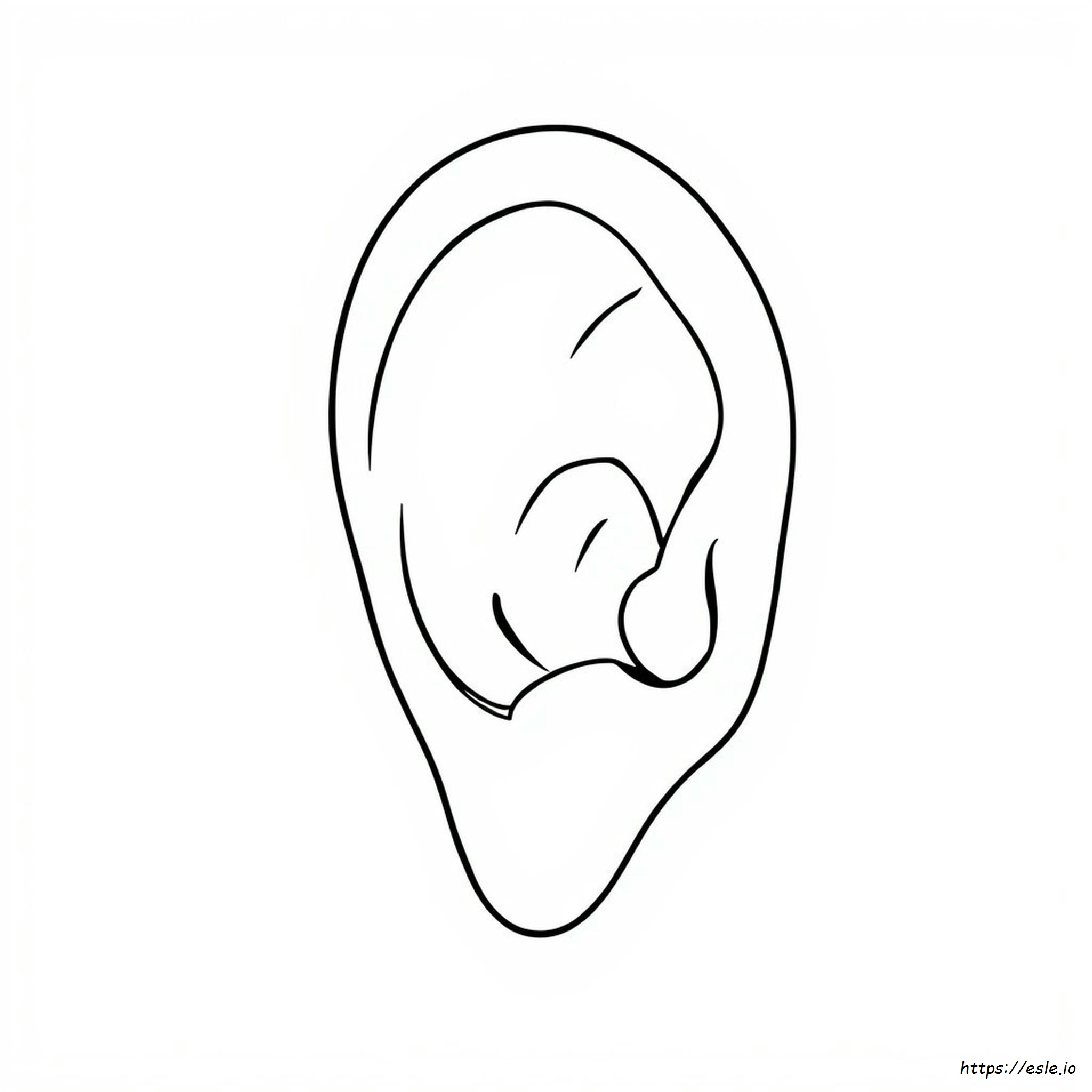 Dibujo De Una Oreja Para Colorear