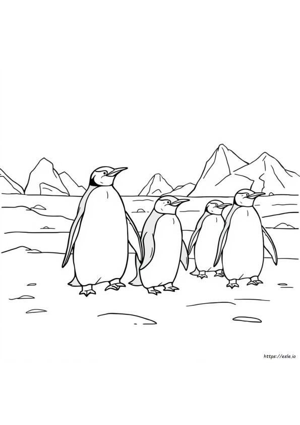 Penguin Adult Coloring Page