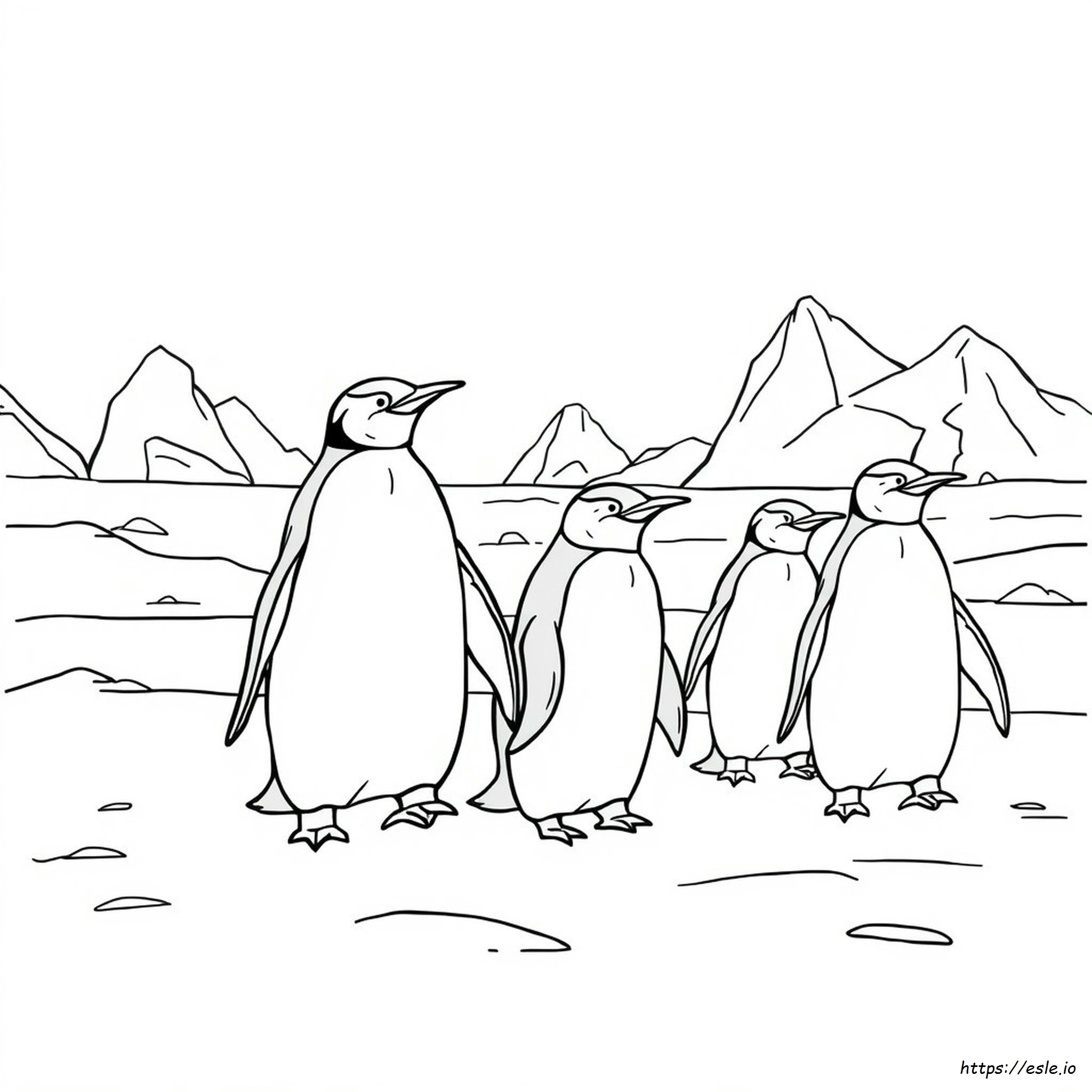 Penguin Adult Coloring Page