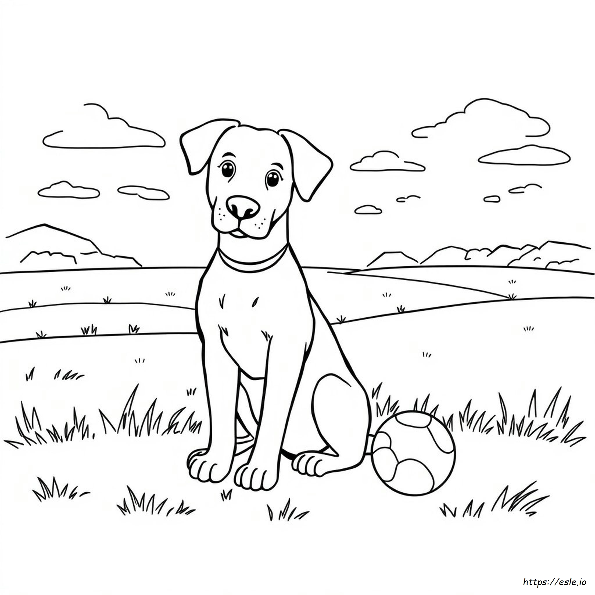 Disegni Da Colorare Di Cani Gratis