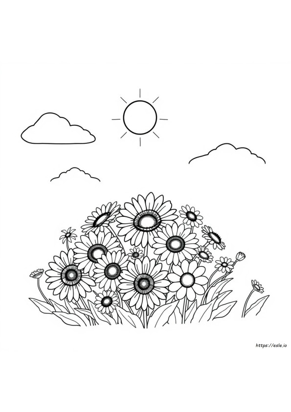 July Coloring Pages