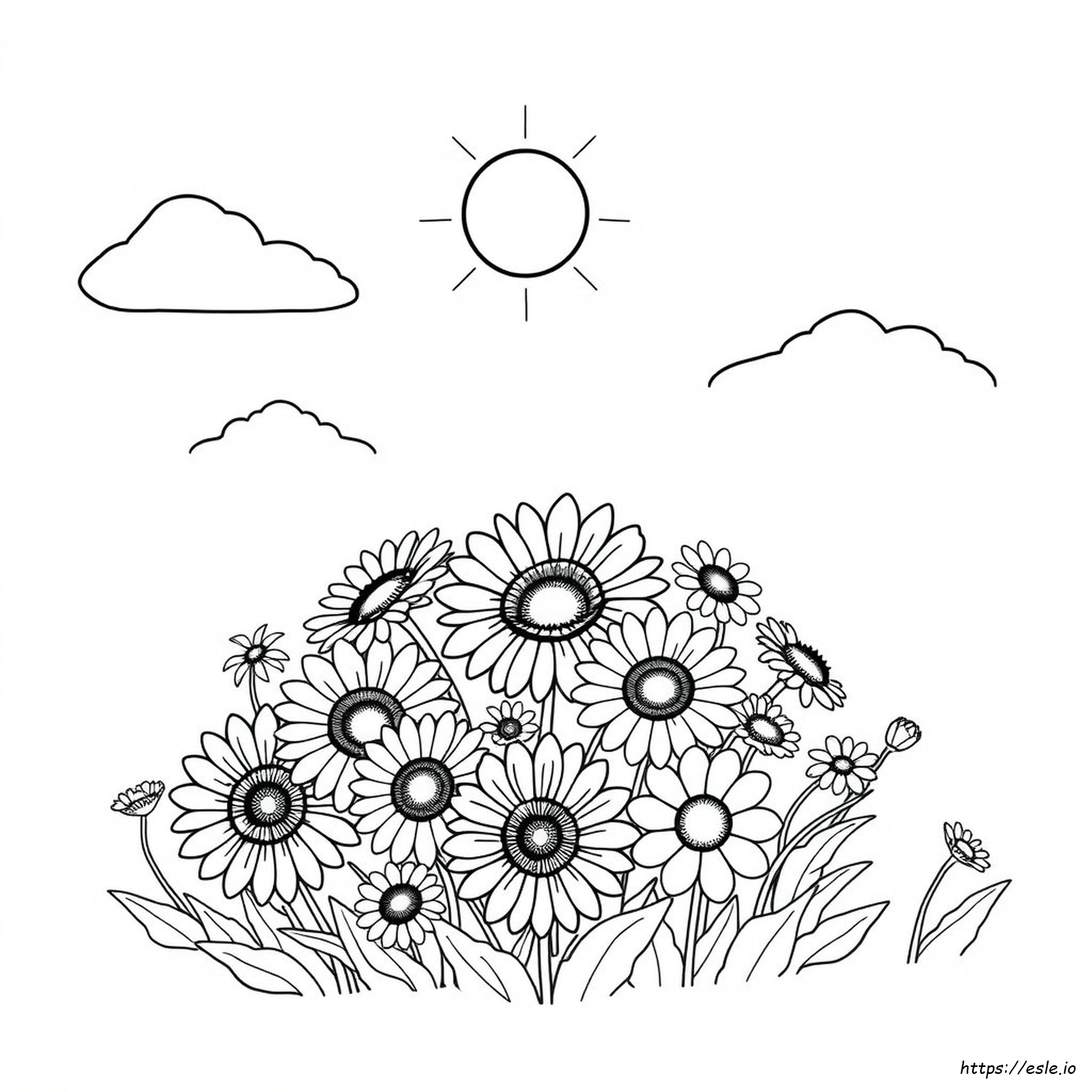 Pagina Da Colorare Luglio