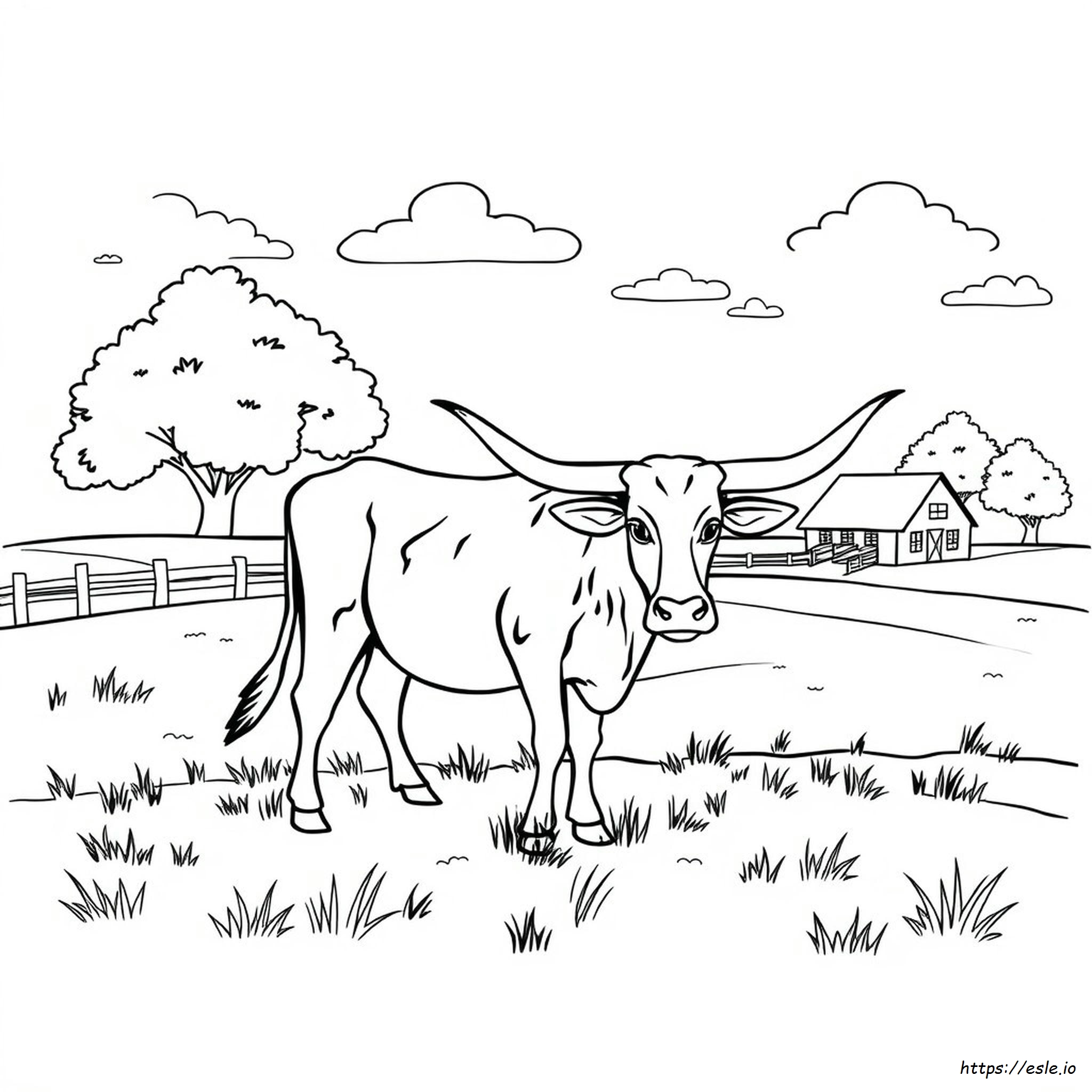 Longhorn Cow Coloring Page