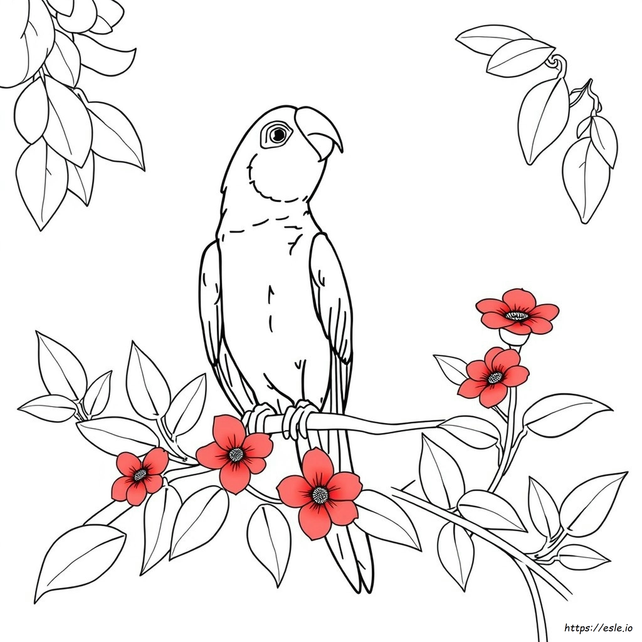 What Colors Do Parrots Like