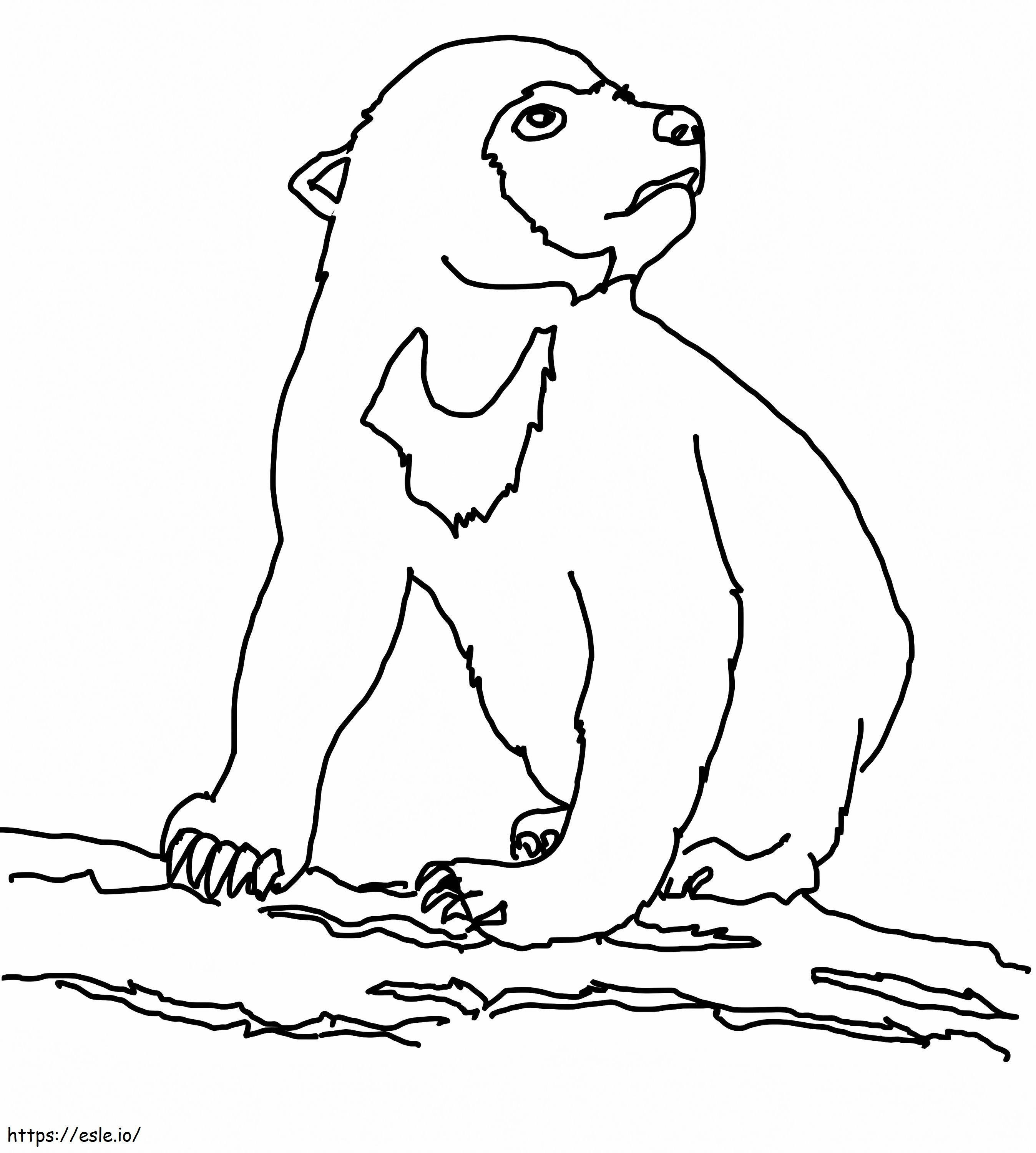Sun Bear Cub coloring page