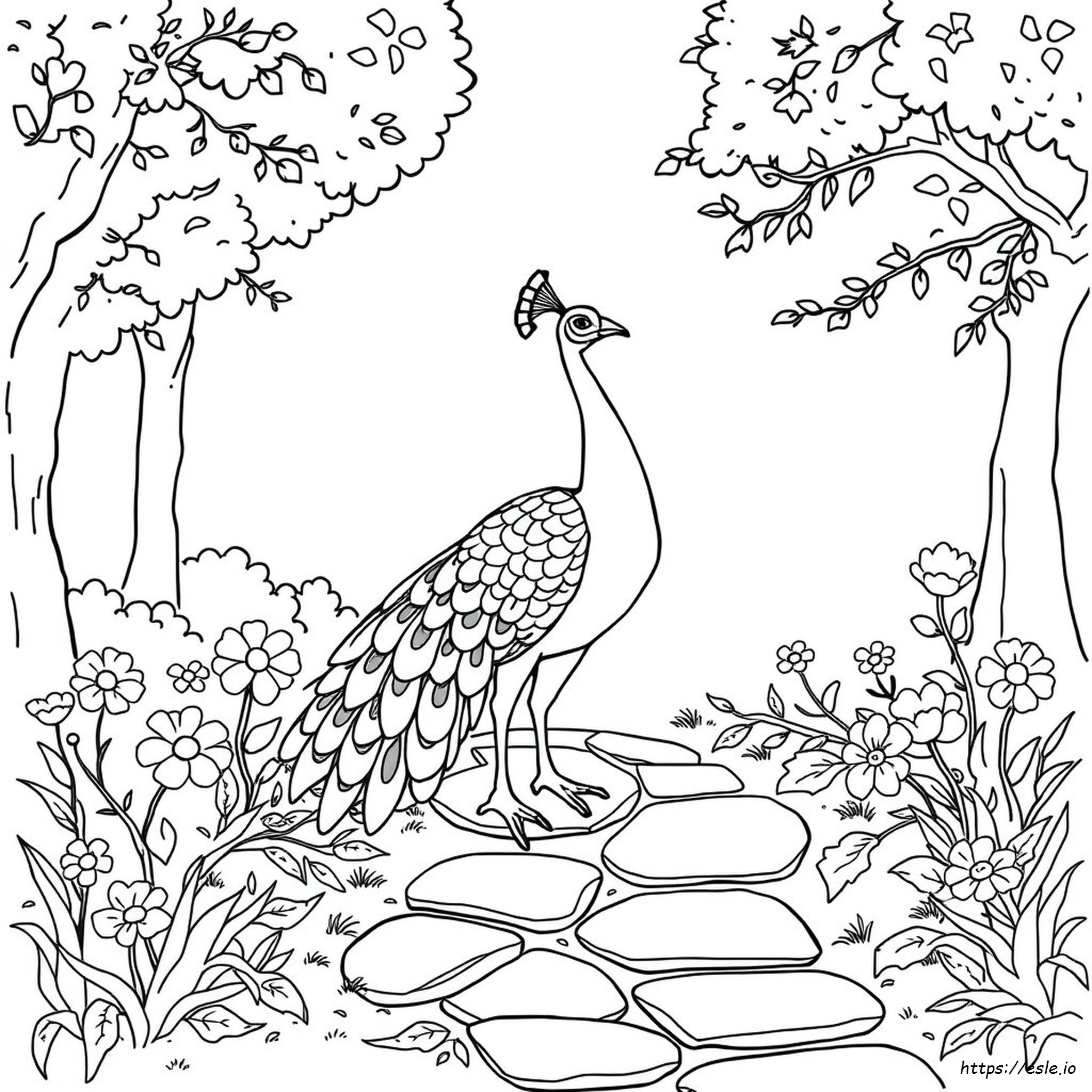 Free Peacock Coloring Pages