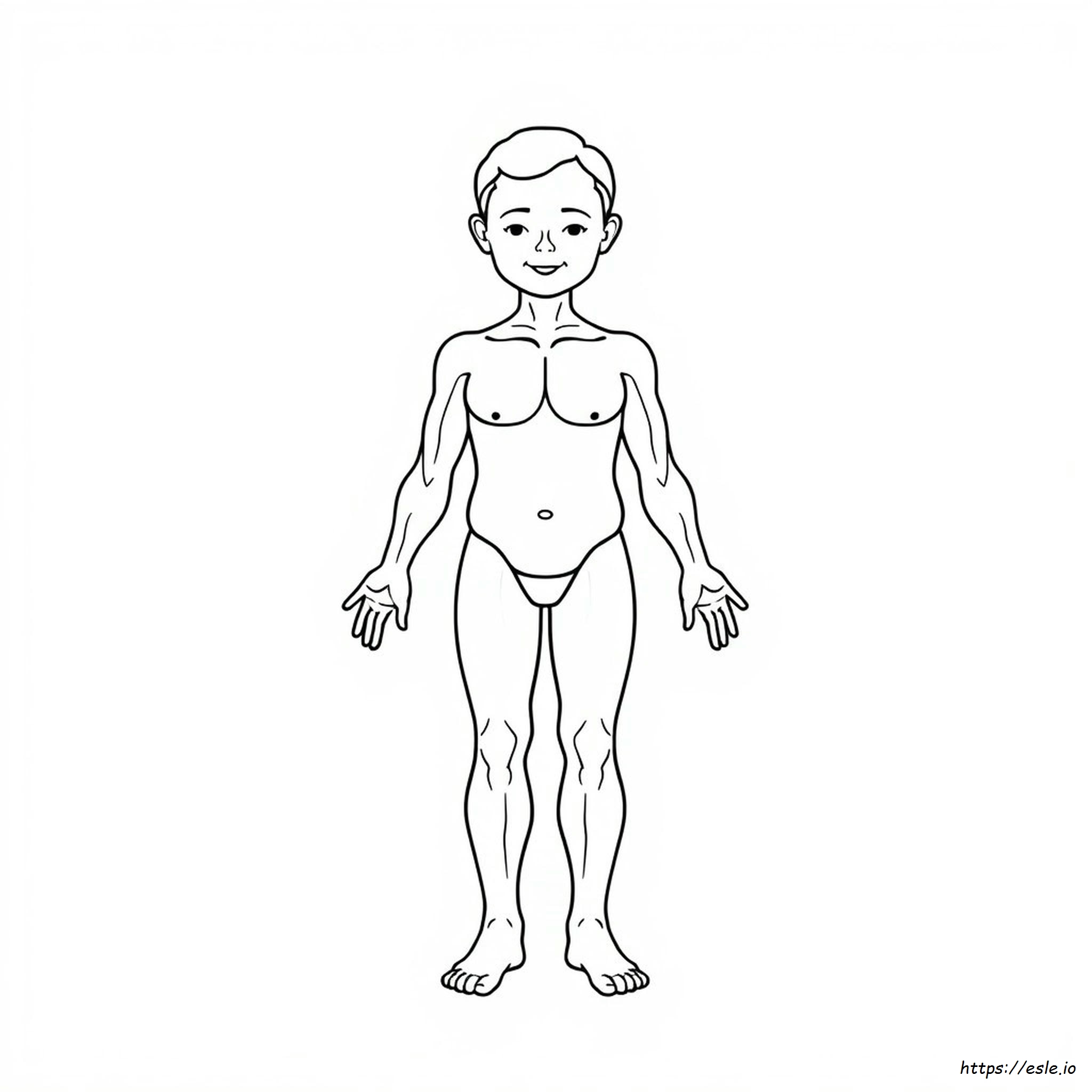Dibujo Para Colorear Del Cuerpo Humano