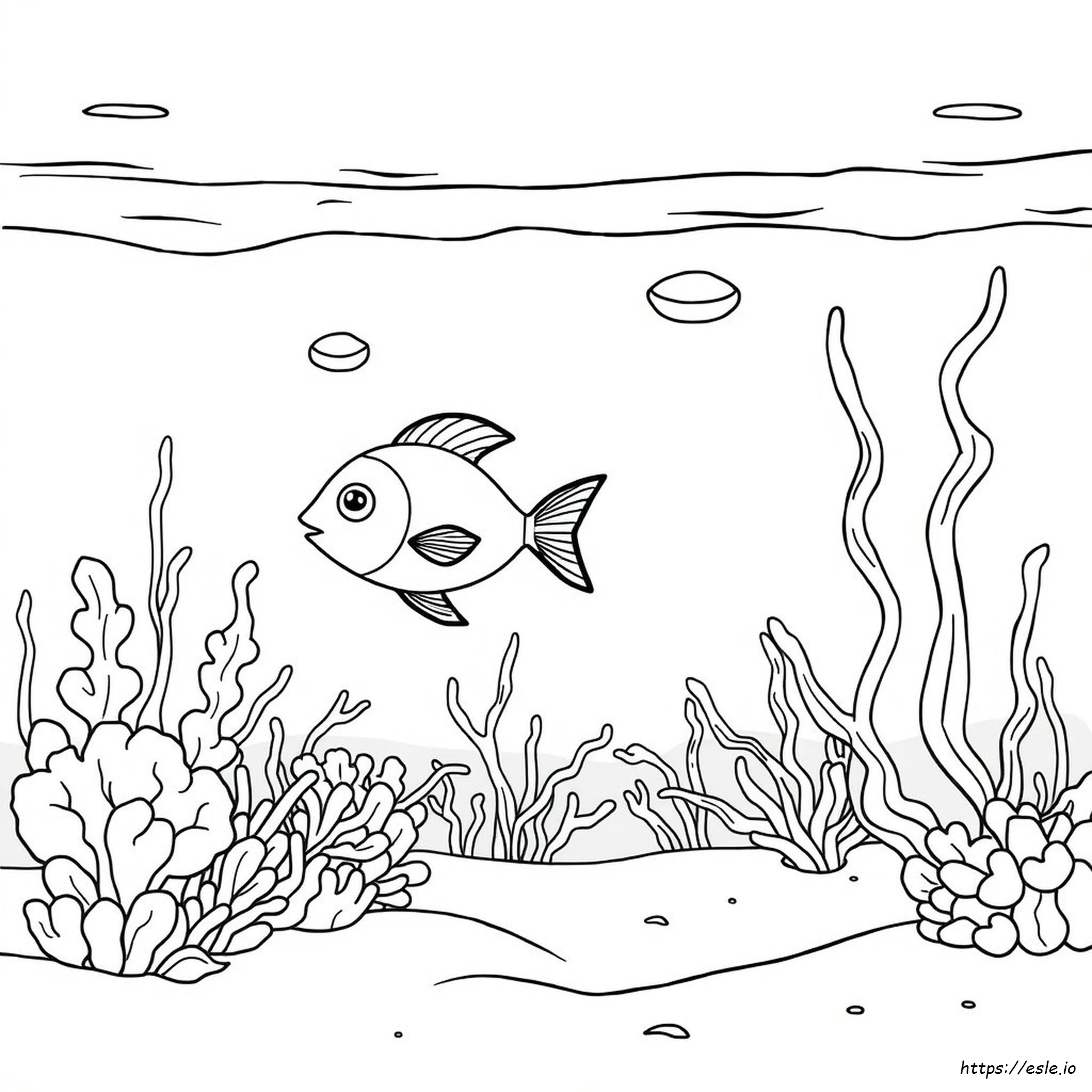 Under The Sea Colouring Pictures