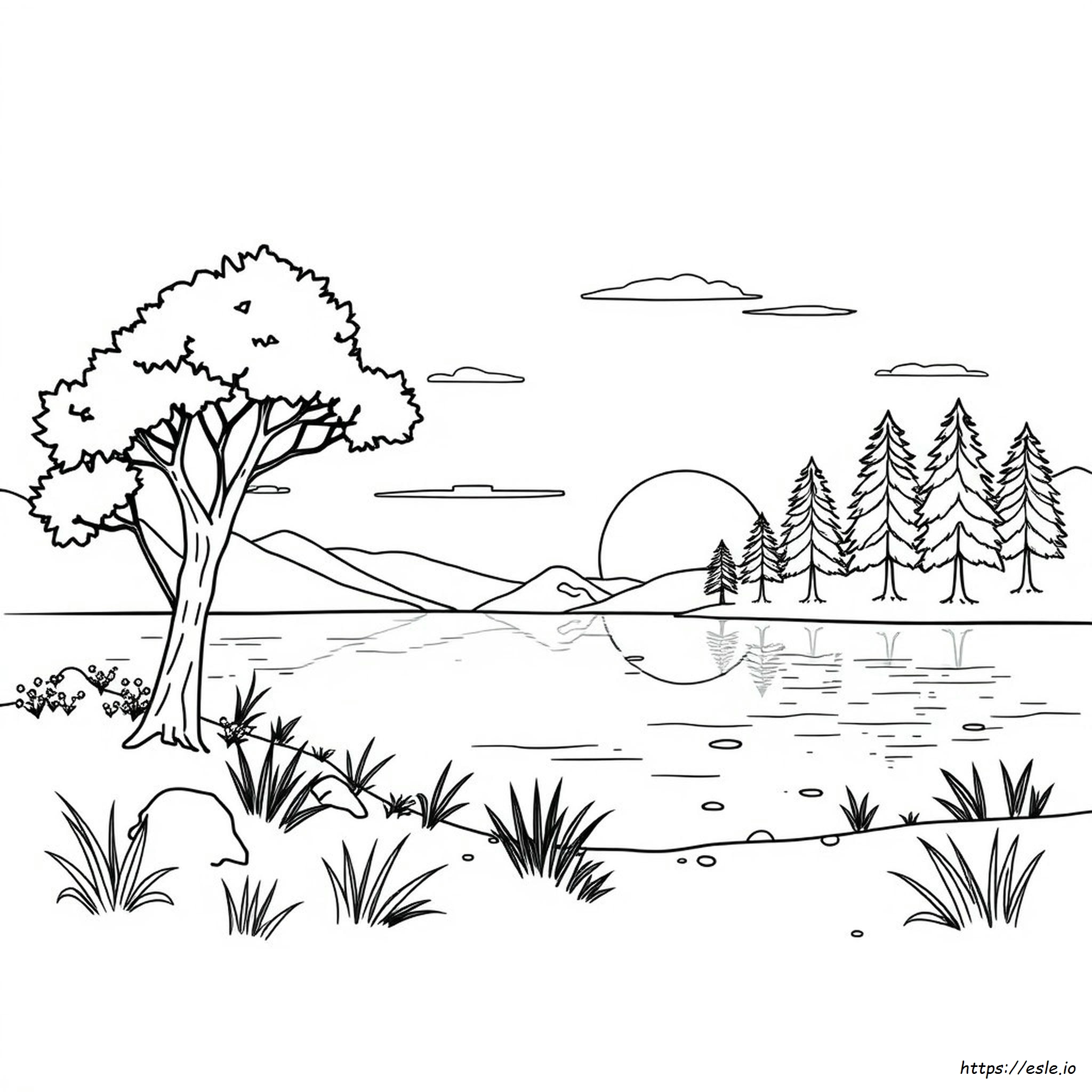 Aesthetic Colouring Pages For Adults