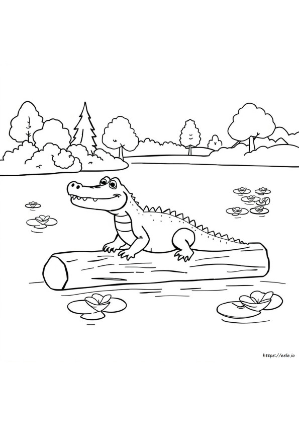 Alligator Coloring Pages Kindergarten
