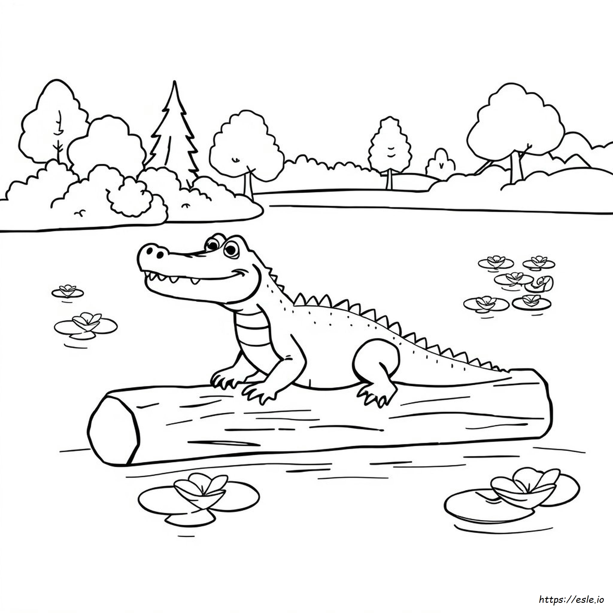 Alligator Coloring Pages Kindergarten