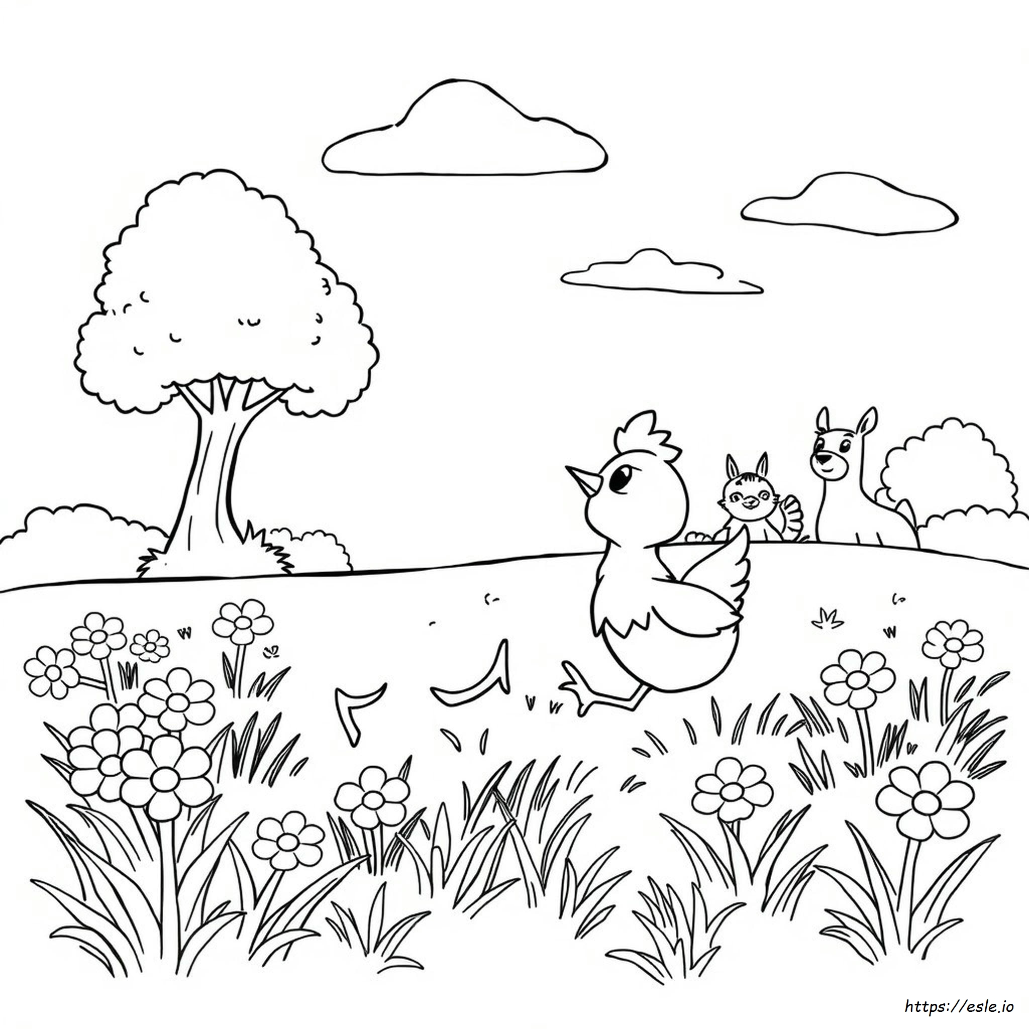 Gallina Piccola Da Colorare