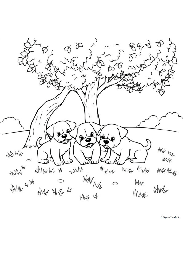 Anak Anjing Gambar Mewarnai