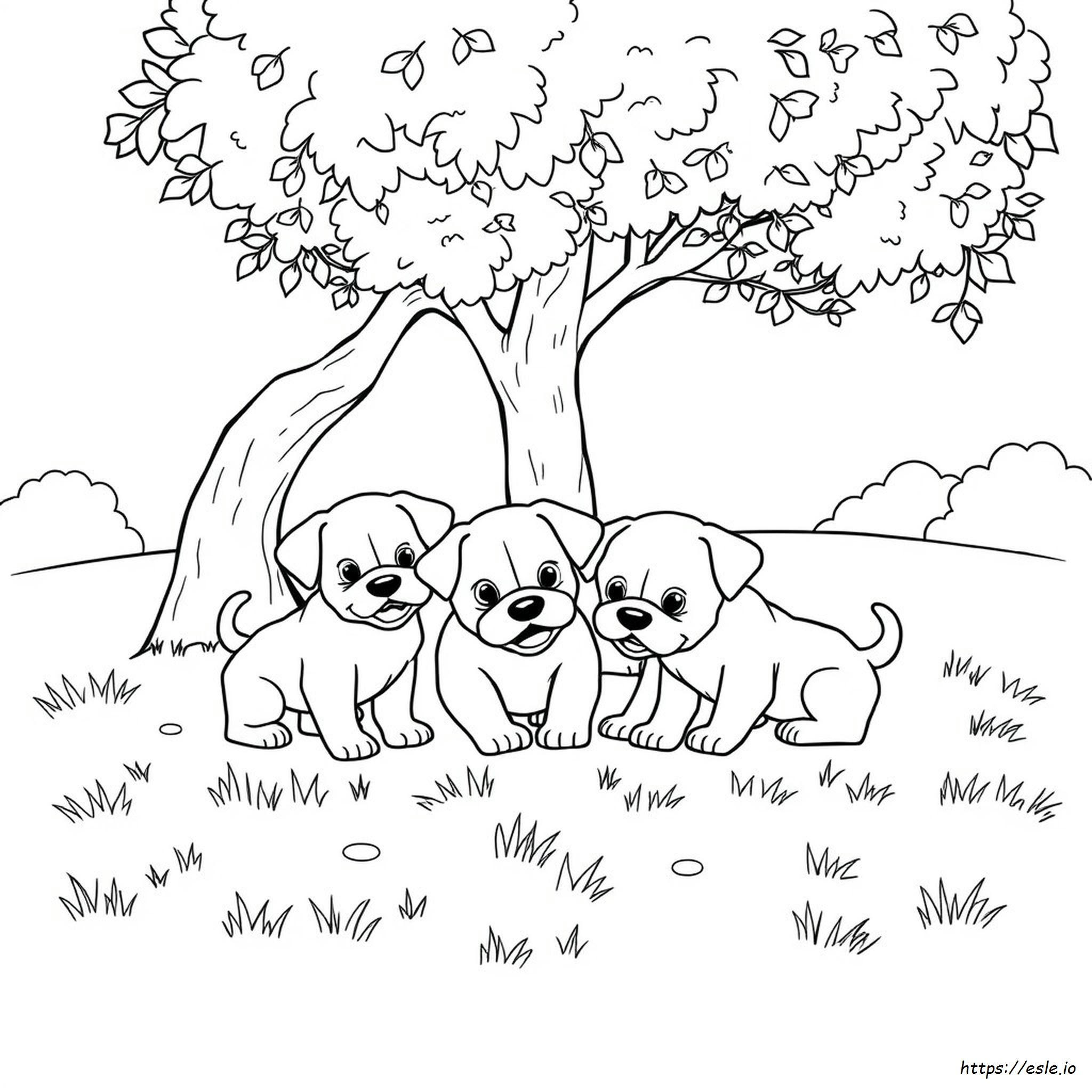 Cuccioli Da Colorare