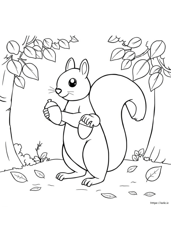 Printable Squirrel Coloring Pages