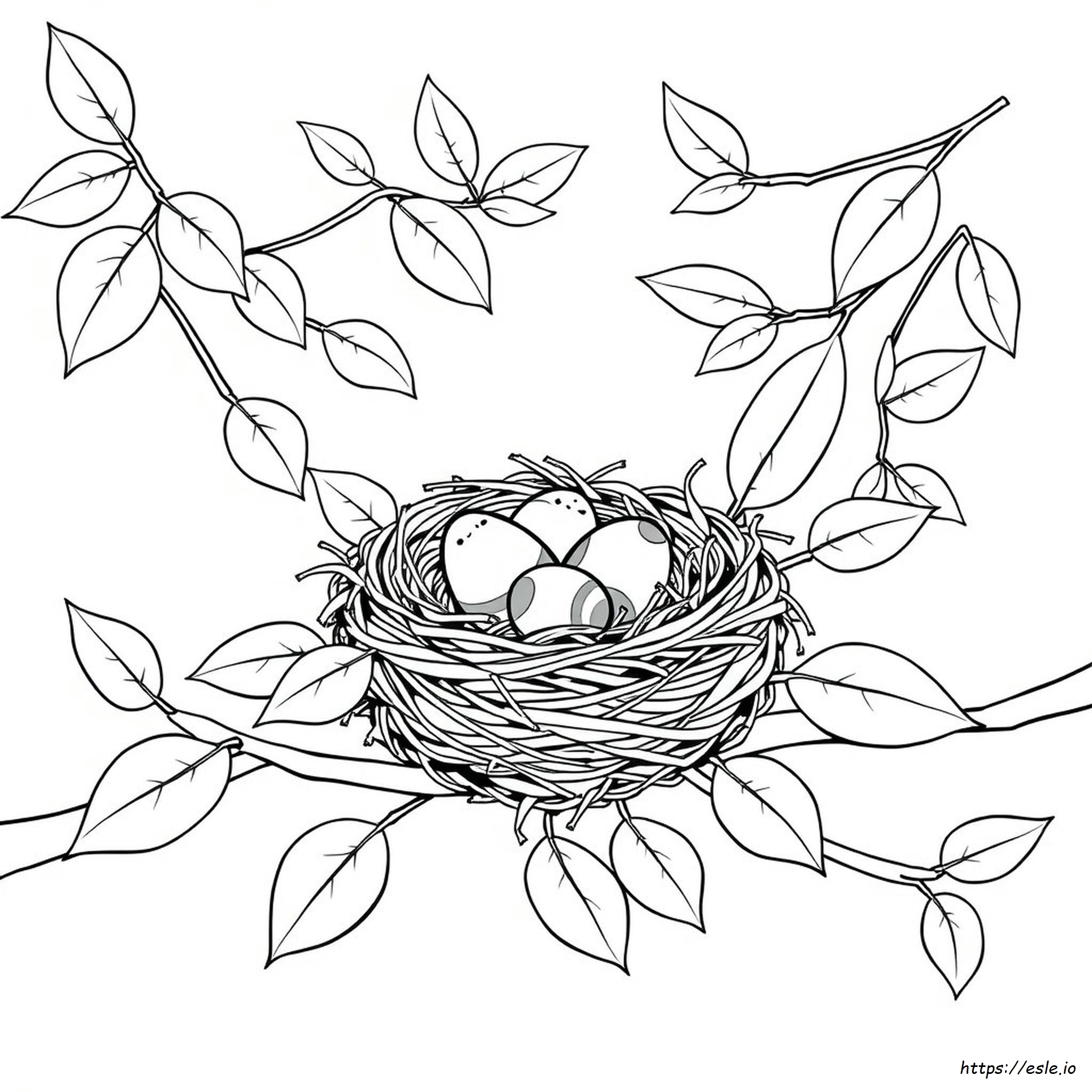Nest Ausmalbilder