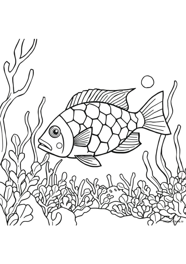 Ikan Pelangi Halaman Mewarnai Pdf