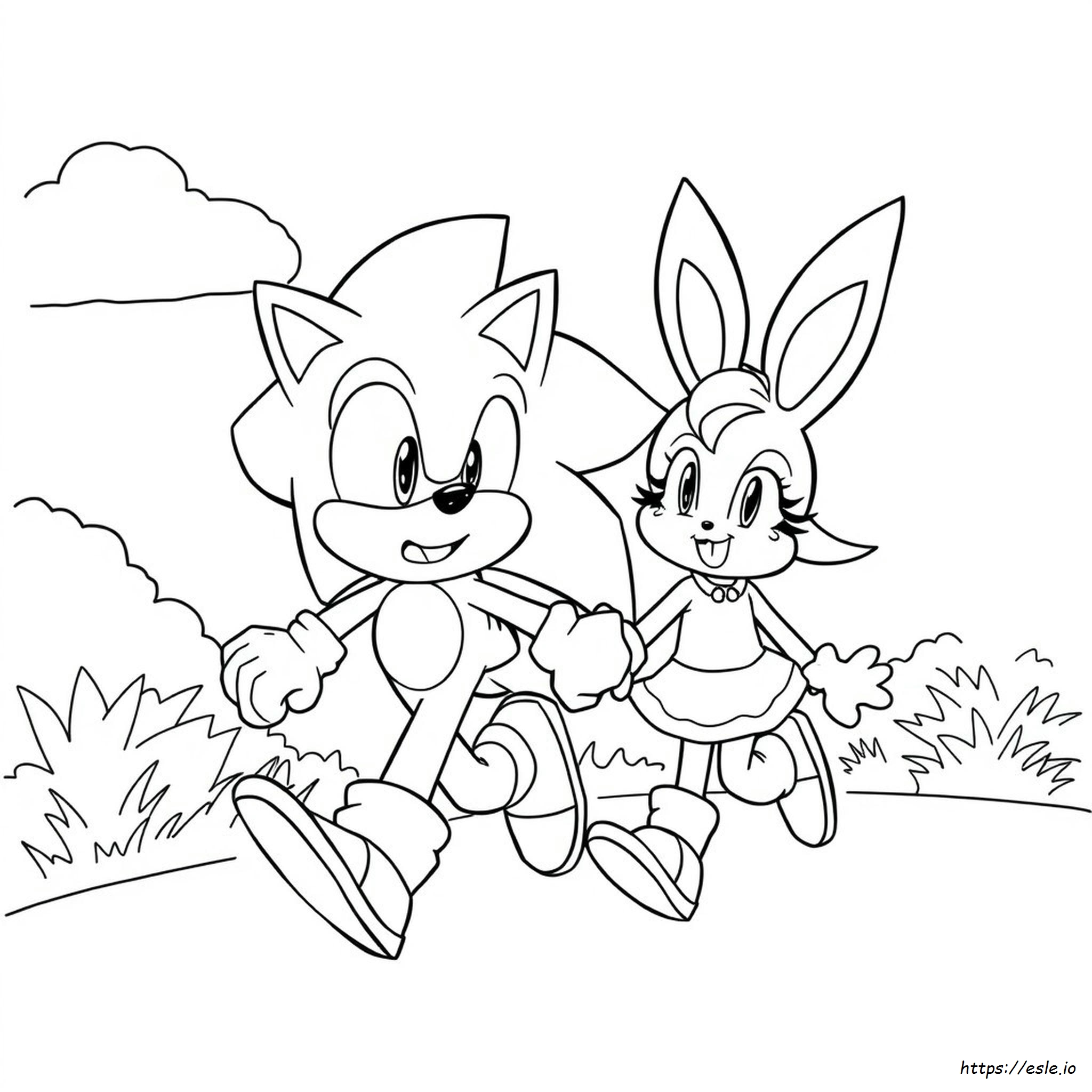 Dibujos Para Colorear De Sonic El Erizo Amy Rose