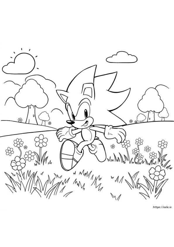 Gambar Mewarnai Sonic Untuk Diwarnai