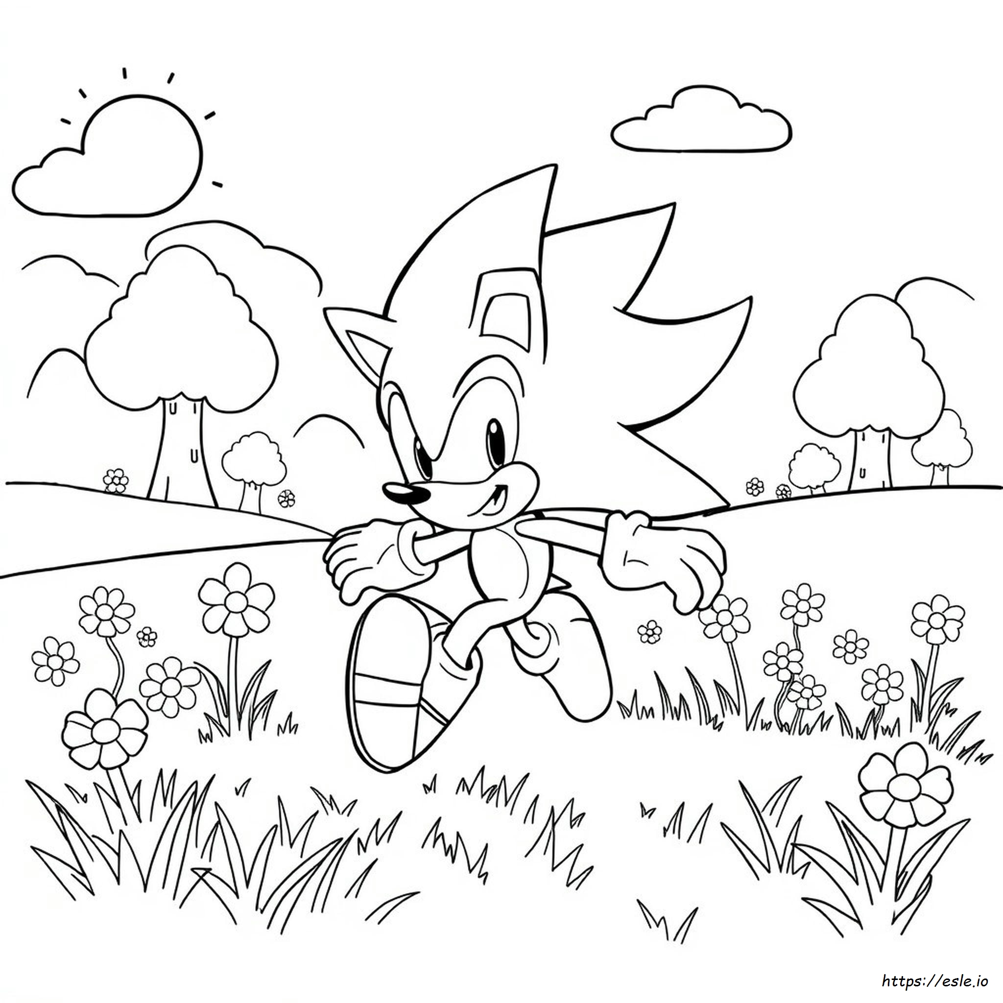 Disegni Da Colorare Di Sonic
