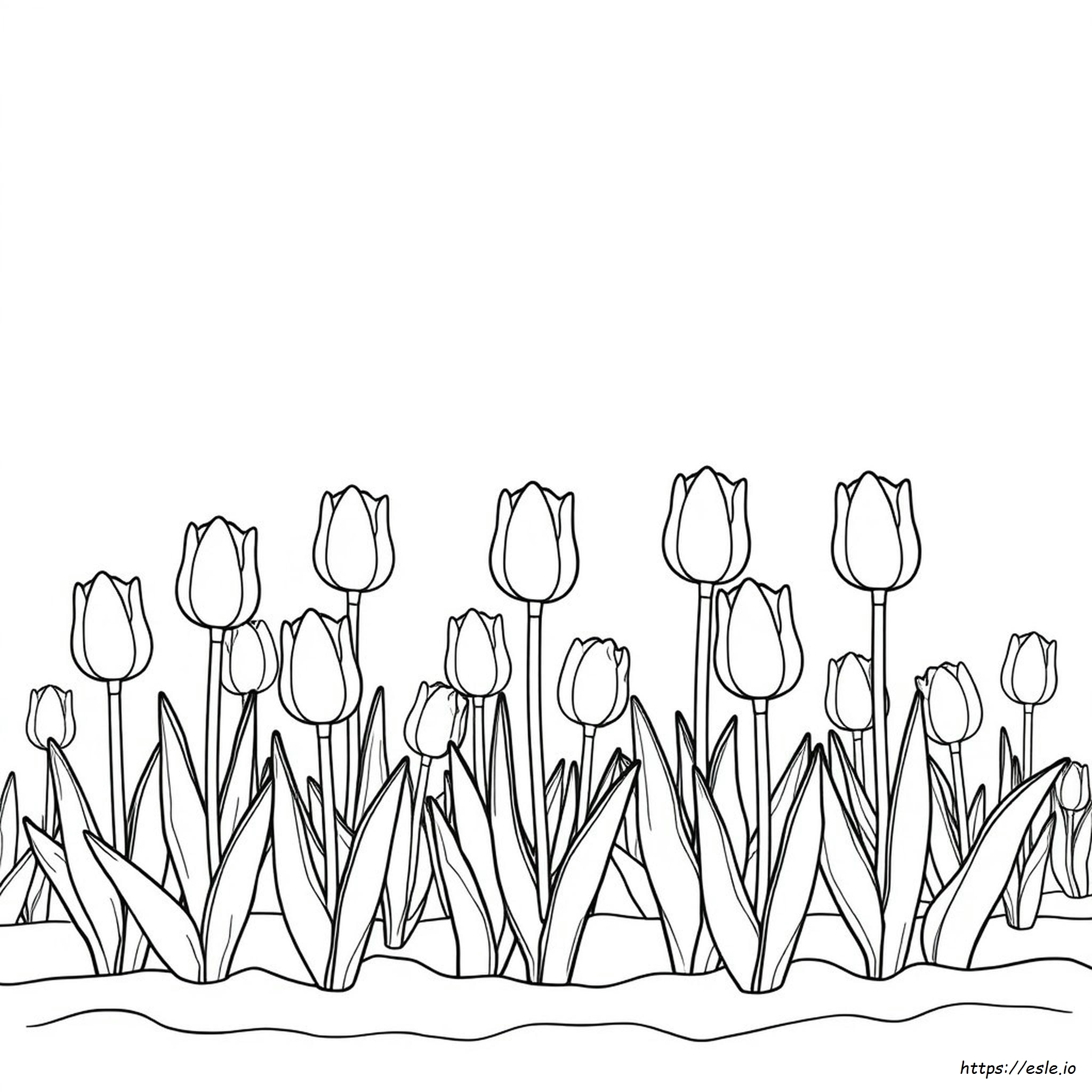 Tulipano Da Colorare