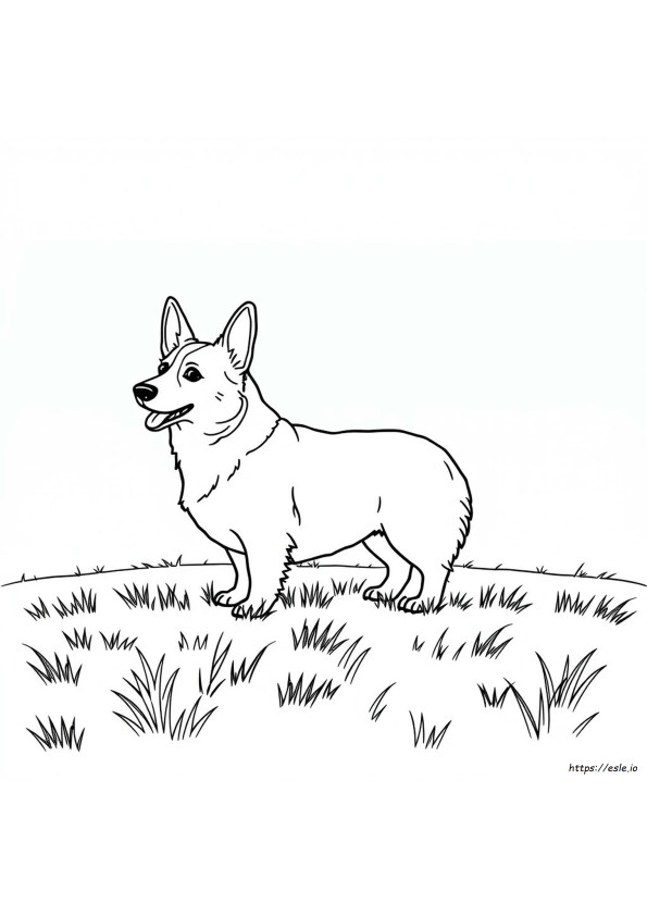 Gambar Mewarnai Welsh Corgi
