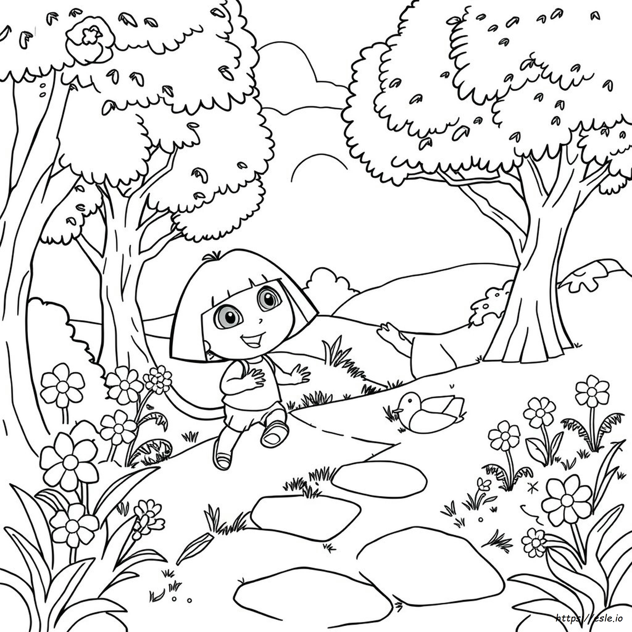 Dora L'esploratrice, Swiper, Disegni Da Colorare