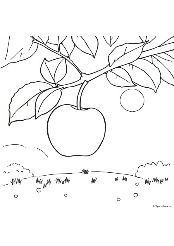 Apple Colouring Images