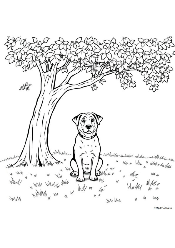 Dibujos De Perros Para Colorear Que Parecen Reales