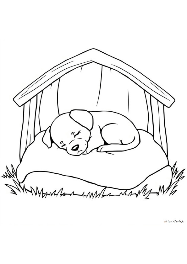 Anak Anjing Tidur Gambar Mewarnai