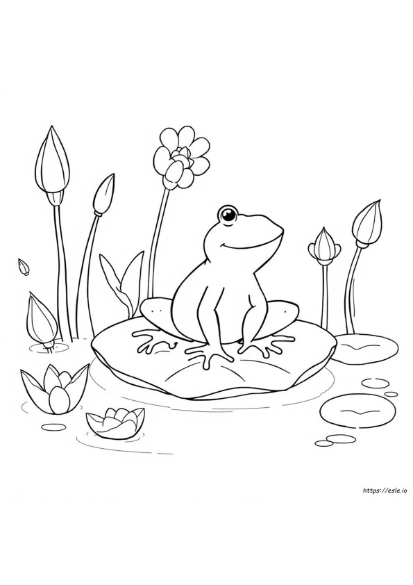 Bisakah Katak Berubah Warna
