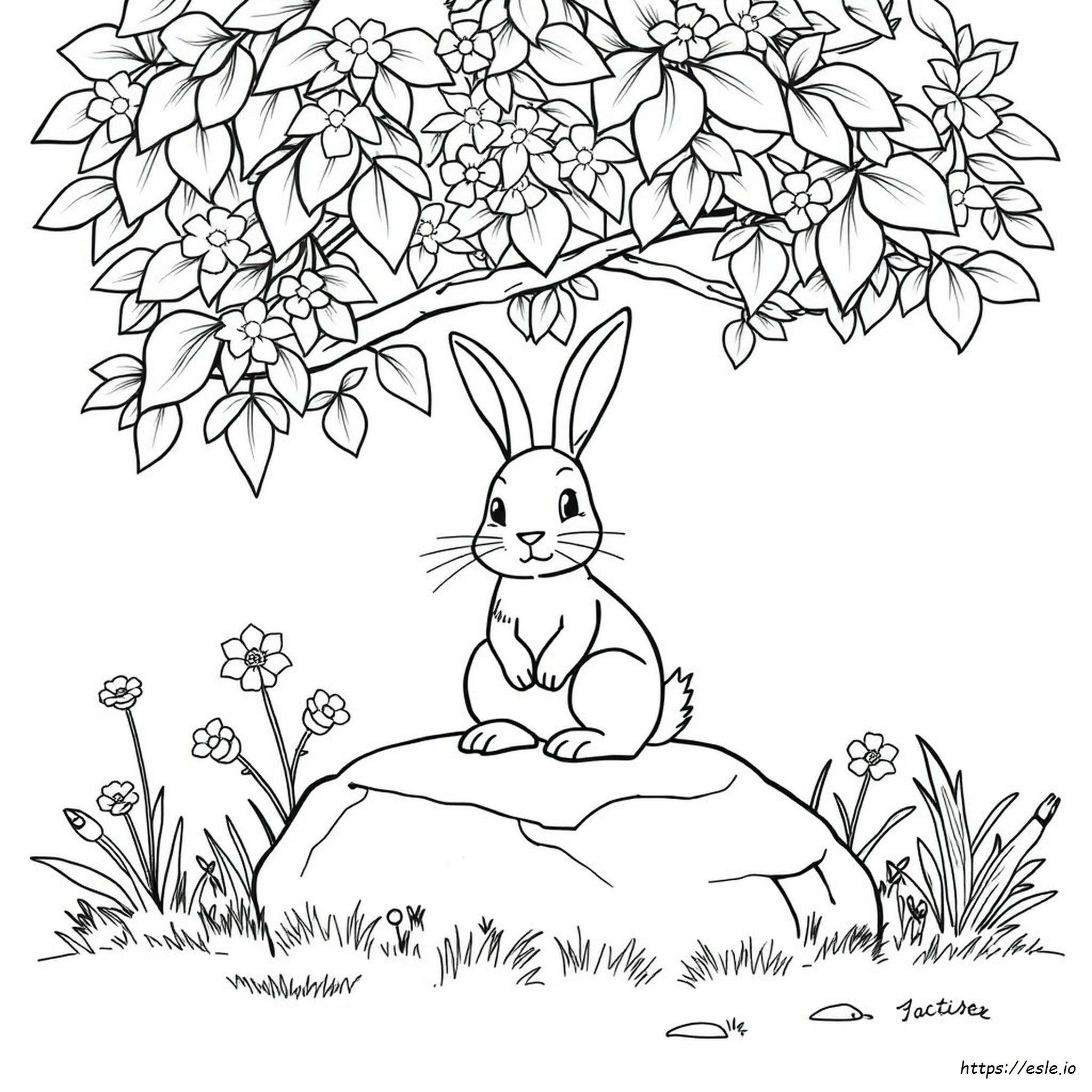 Printable Realistic Bunny Coloring Pages