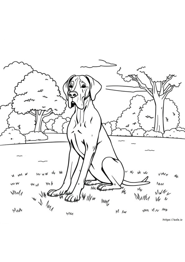 Mewarnai Gambar Anjing Great Dane
