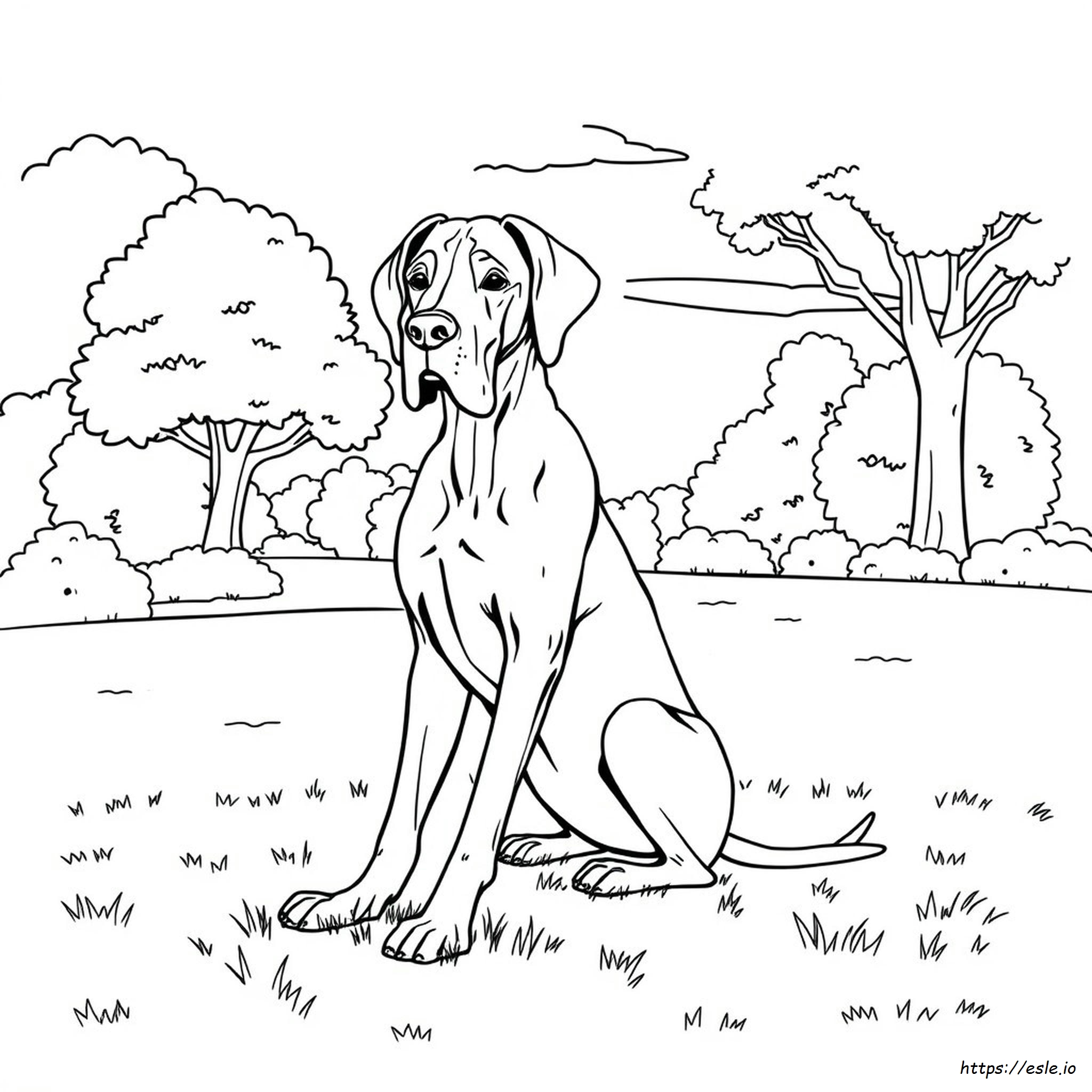 Dibujos Para Colorear De Gran Danés