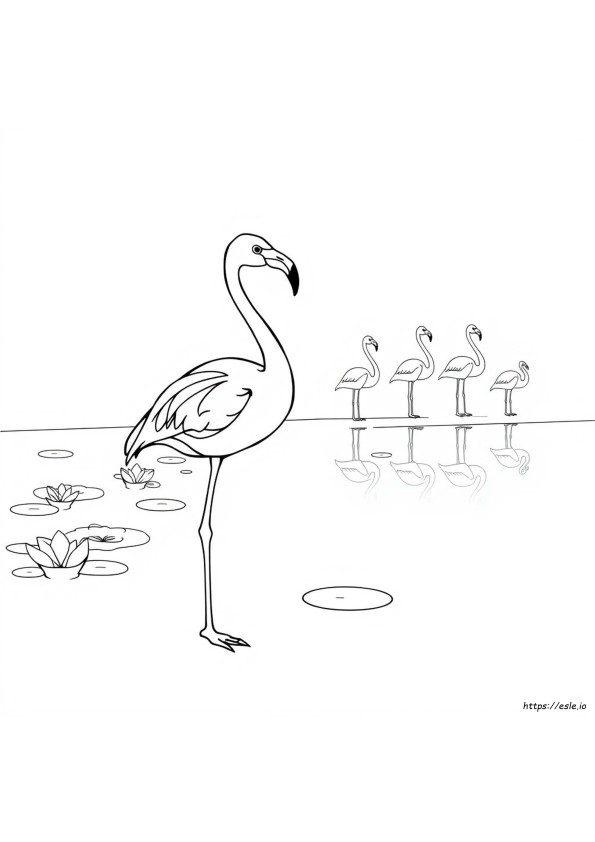 Flamingo Värityskuvat