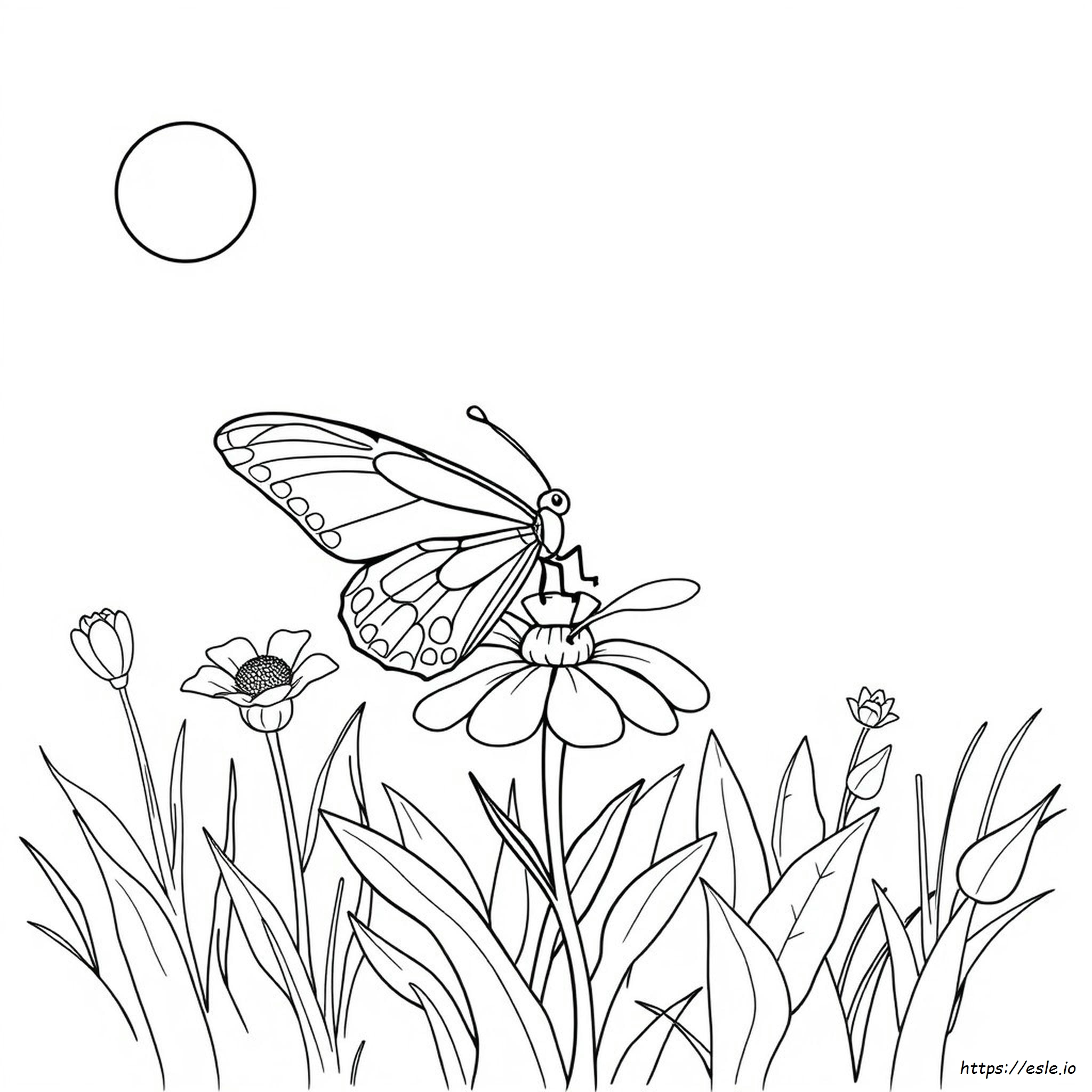 Pagina Da Colorare Con Farfalla Facile
