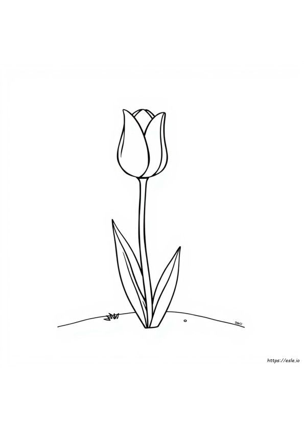 Coloriage Tulipe Simple