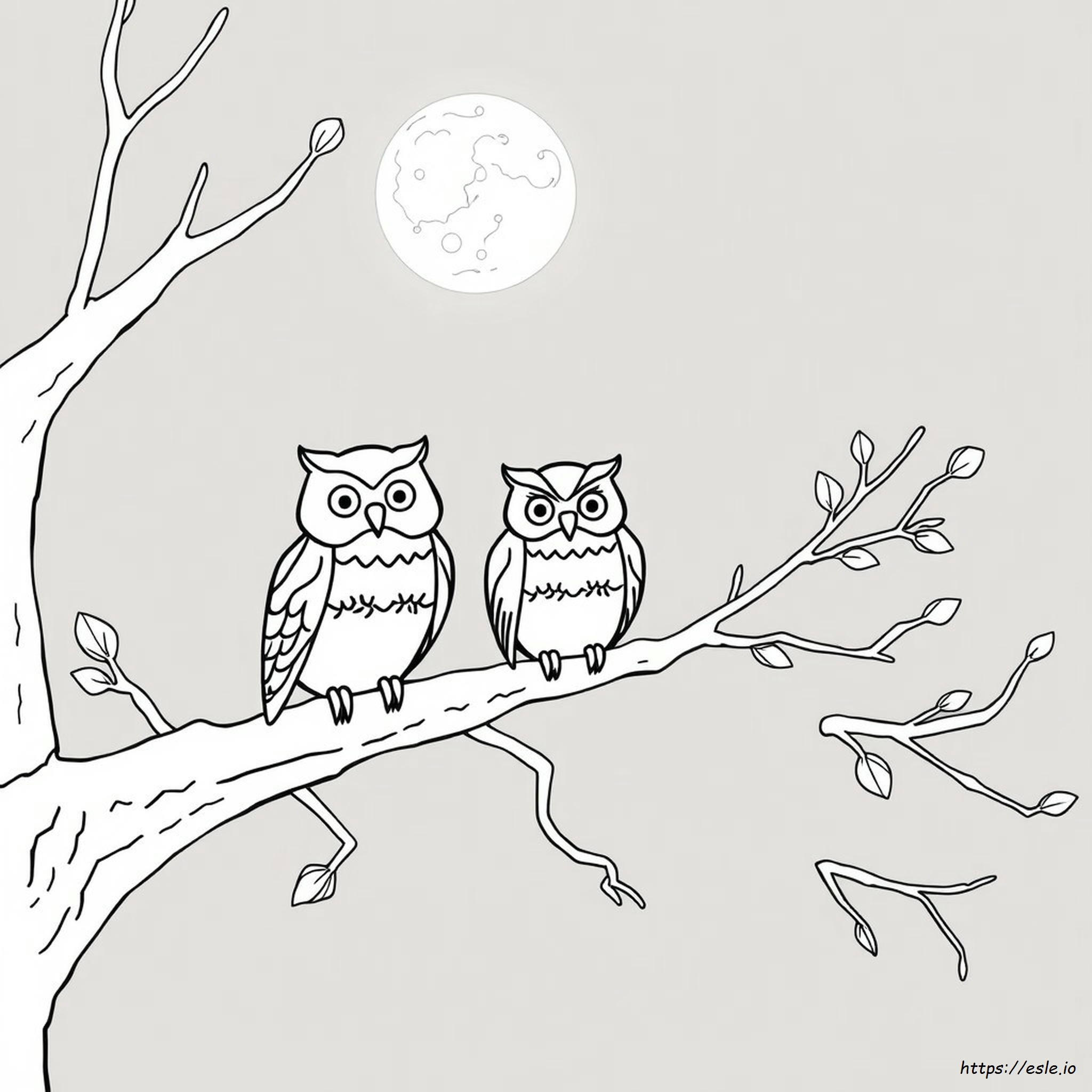 Printable Coloring Pages Of Owls