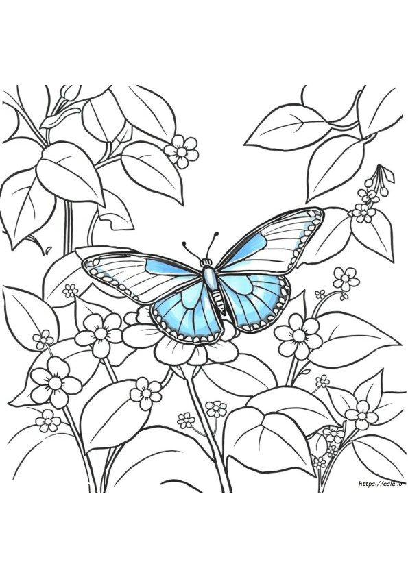 Kupu-Kupu Morpho Biru Gambar Mewarnai