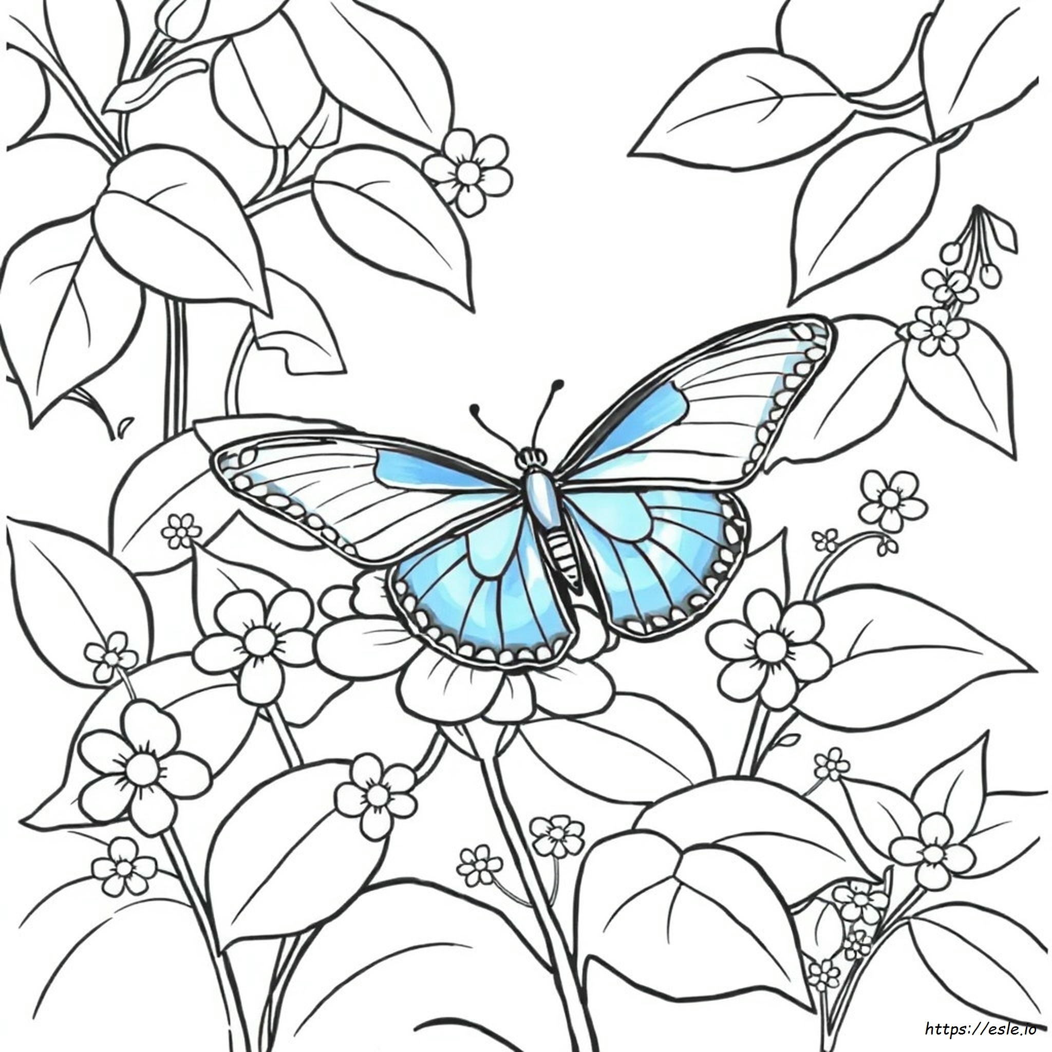 Mariposa Morfo Azul Para Colorear