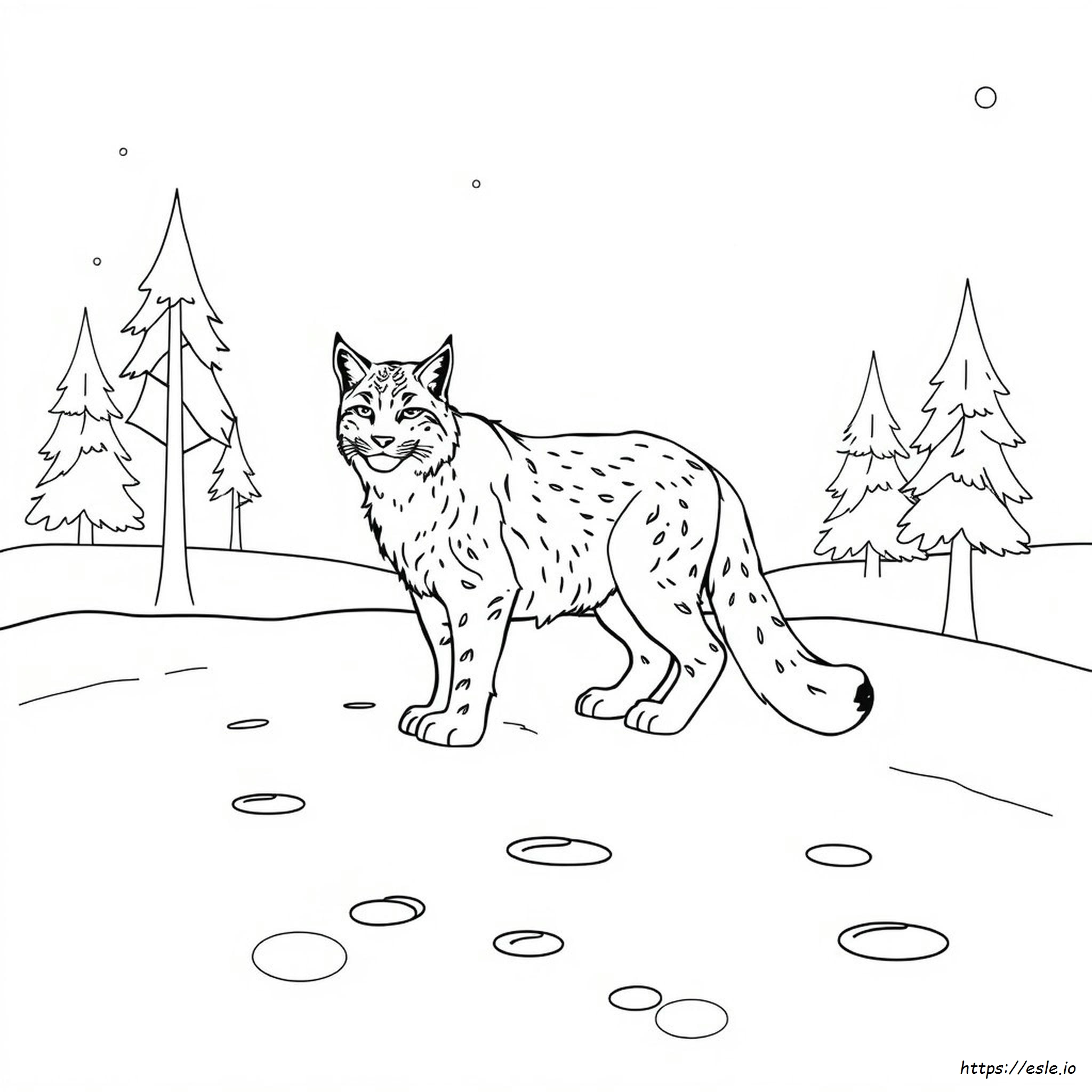 Lynx Colouring Page