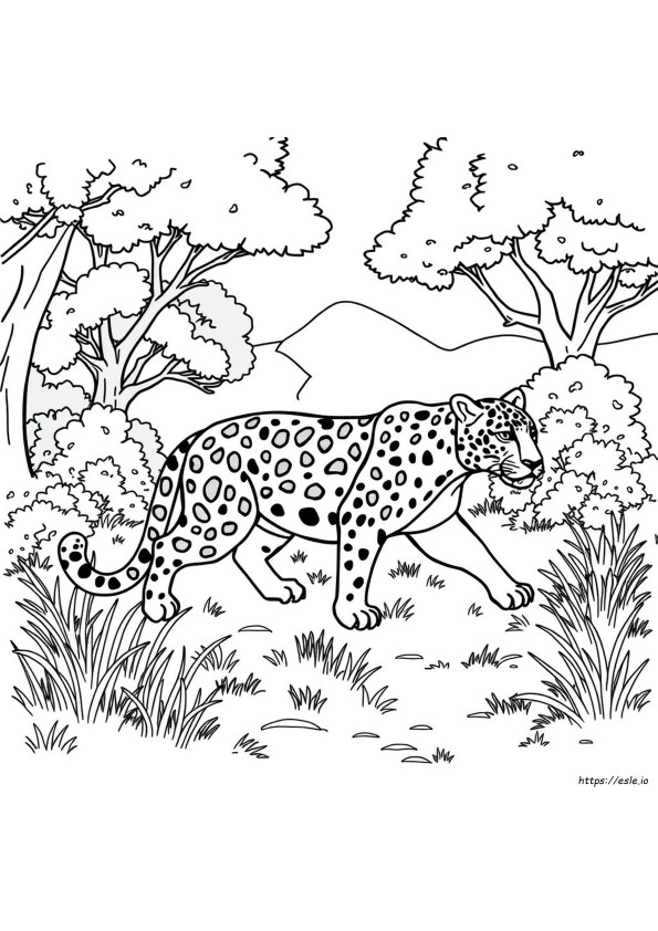 Jaguar Ausmalbilder