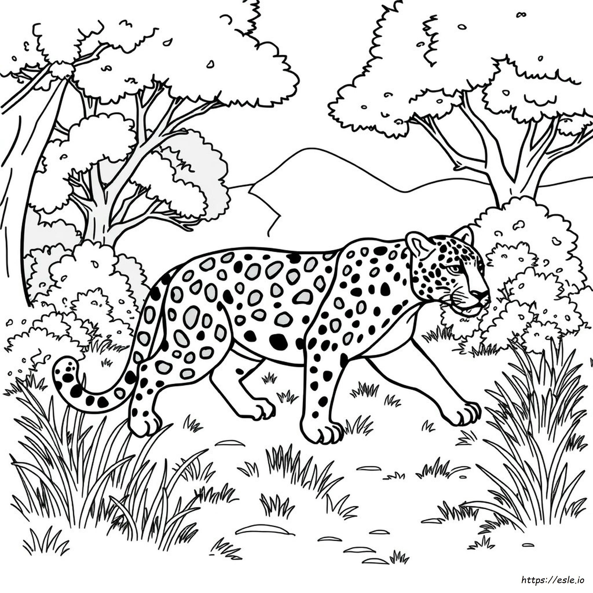 Jaguar Colouring In