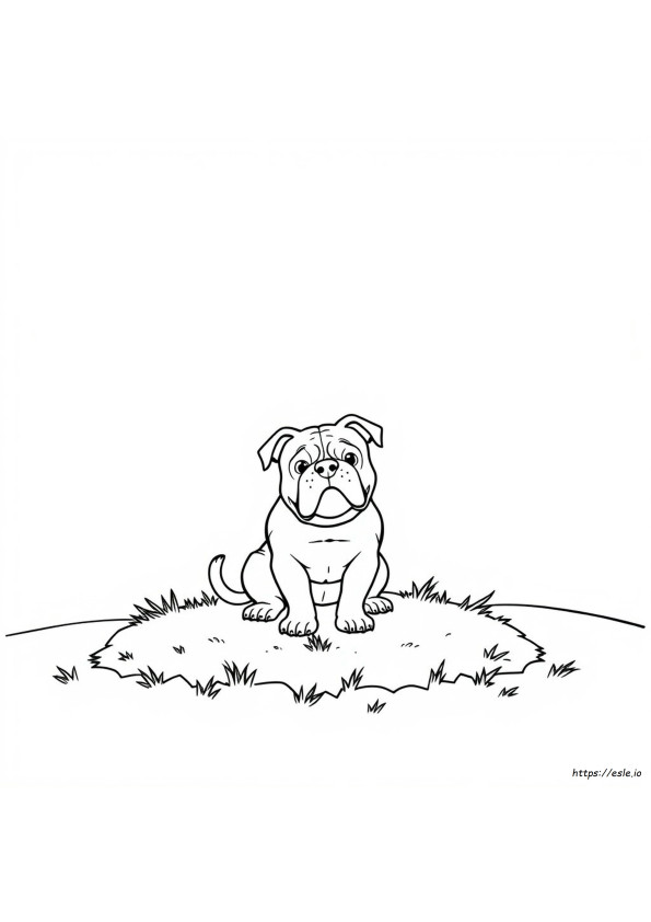 Bulldog Coloring Sheet