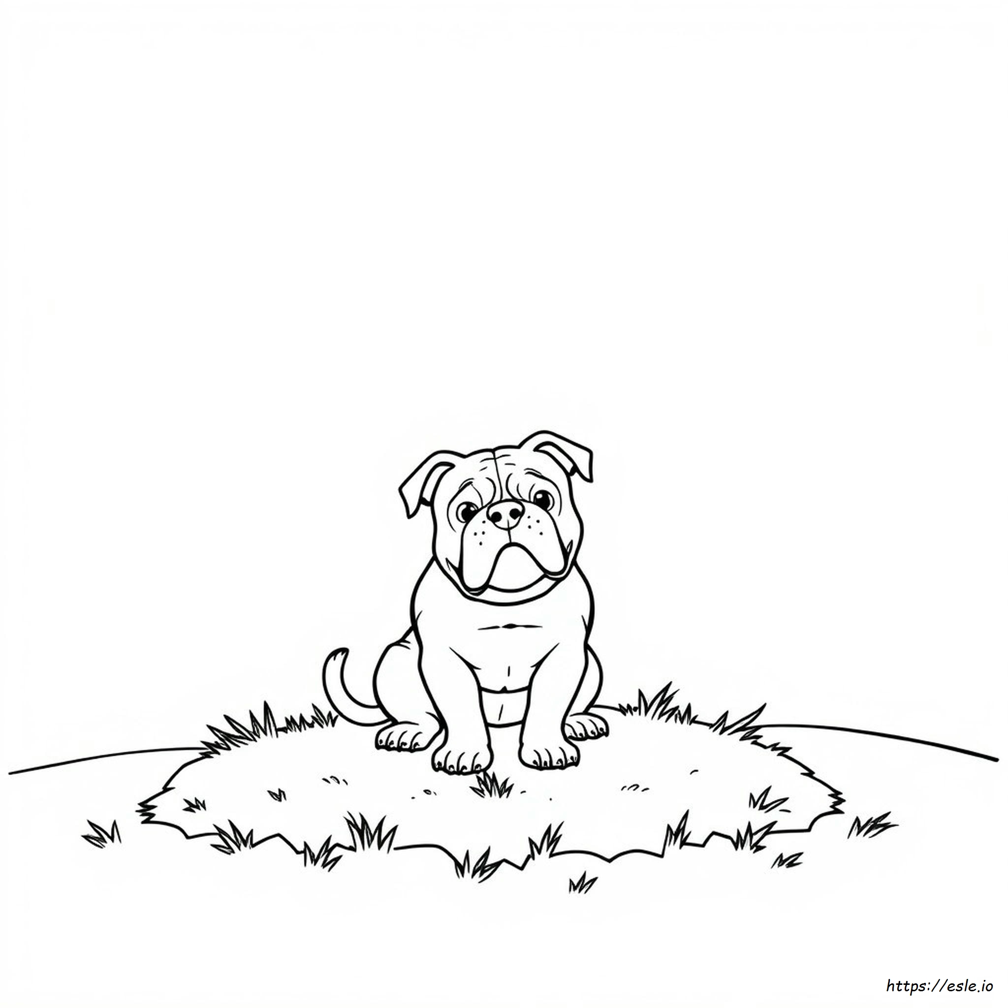 Bulldog Da Colorare