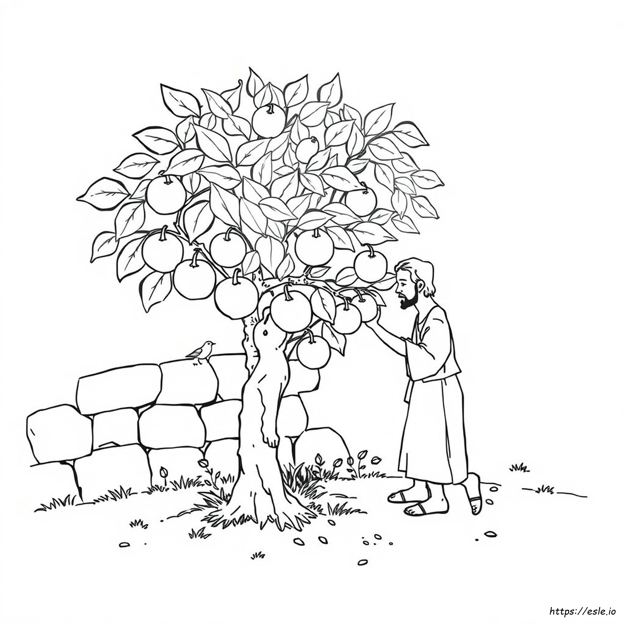 Parable Of The Fig Tree Coloring Page