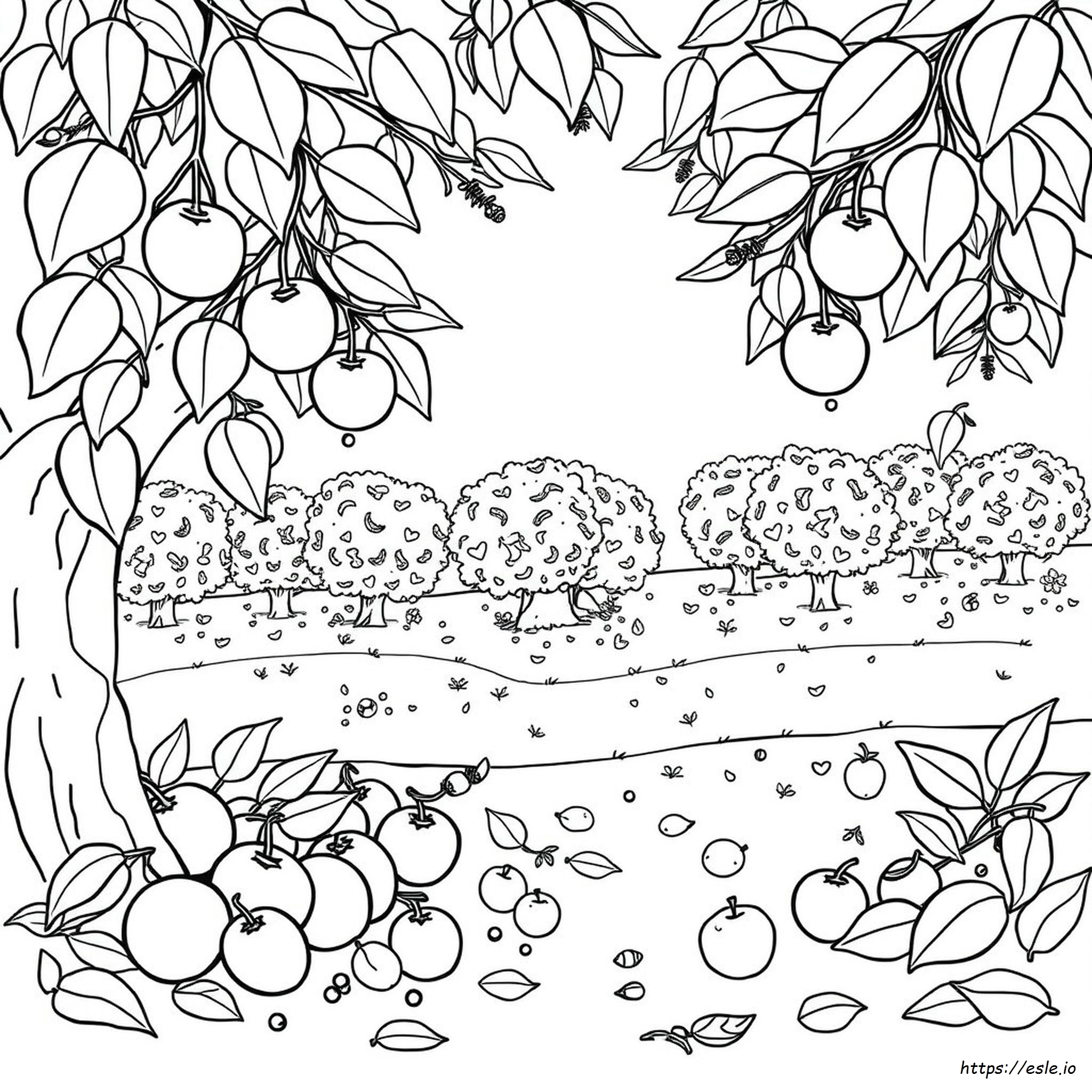 Frutta Da Colorare E Stampare